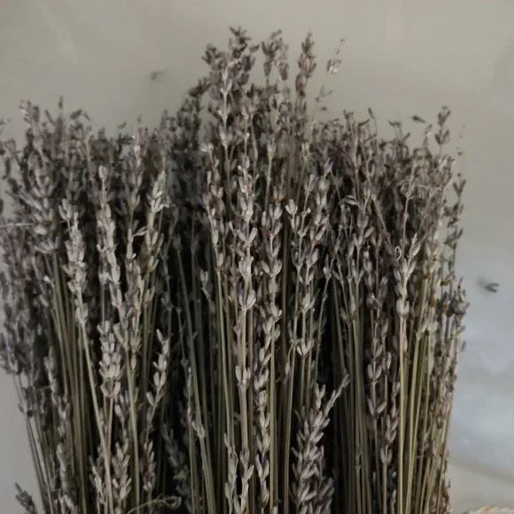 Last three bundles of Kentucky grown lavender - Picture 2 of 5